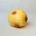 Crunchy Potato Squishy - Block Filling