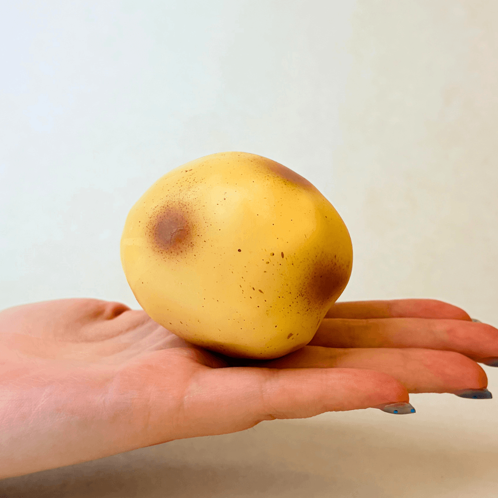 Crunchy Potato Squishy - Block Filling