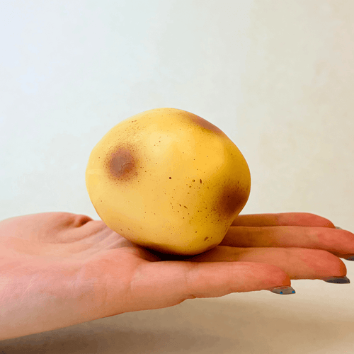 Crunchy Potato Squishy - Block Filling