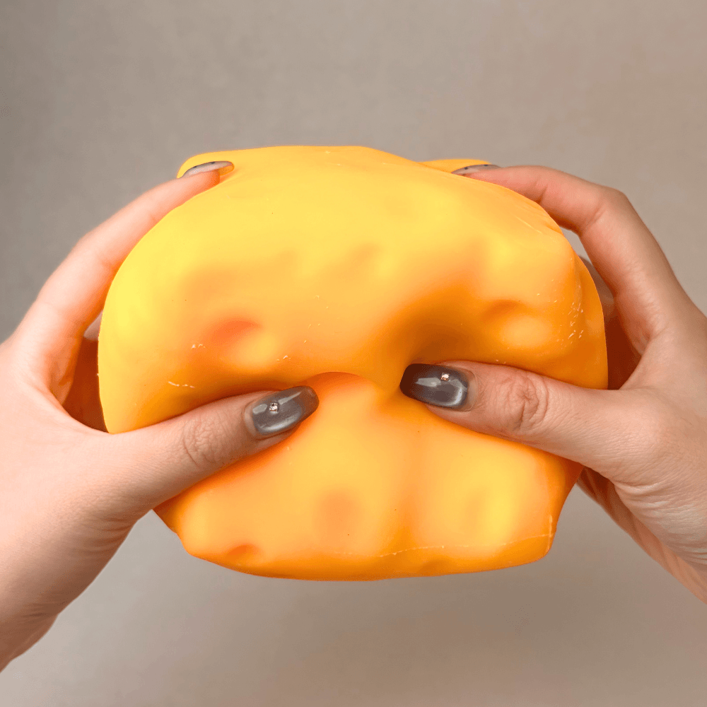 JUMBO Cheese Squishy